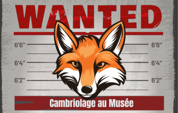 30 octobre : cambriolage au Musée !